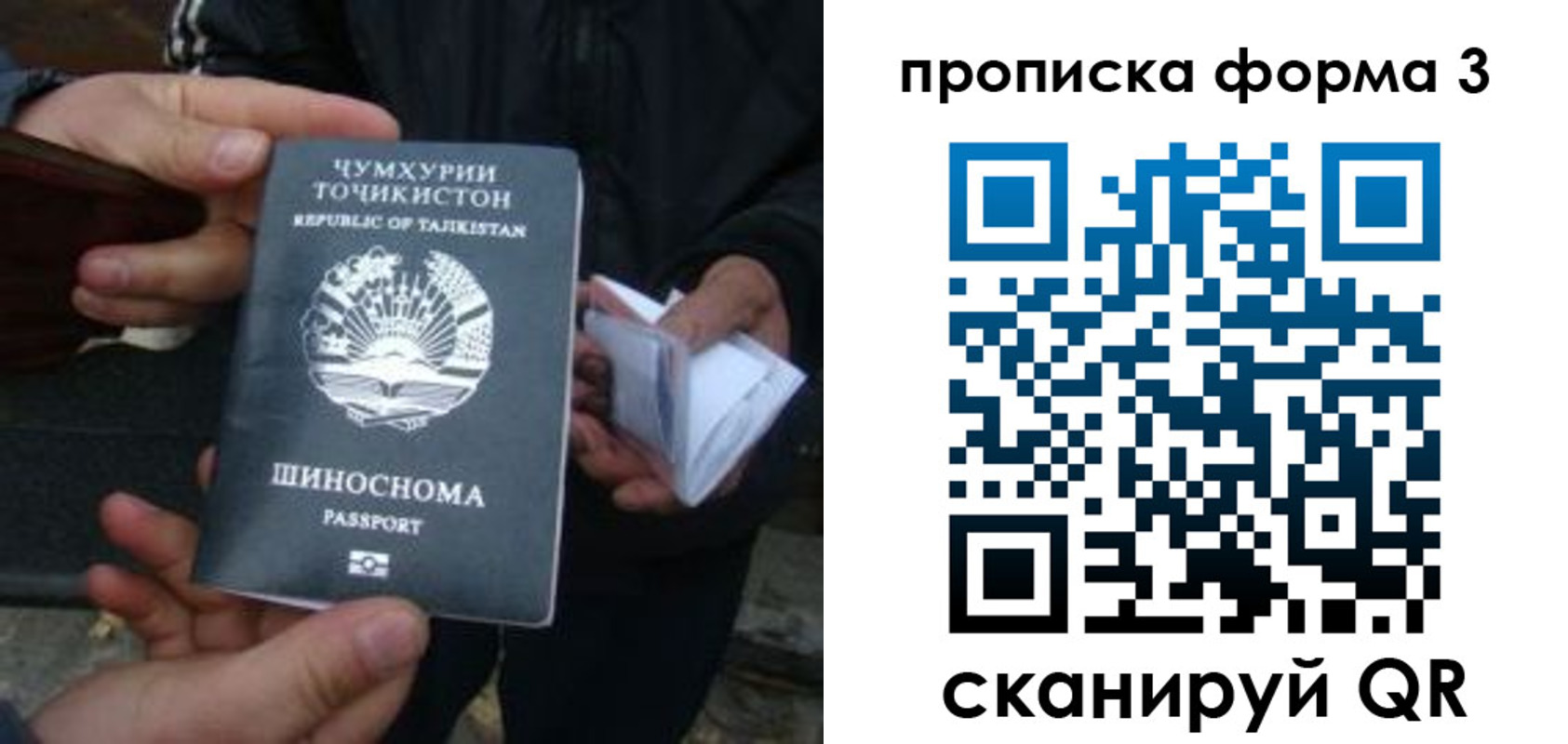 прописка 2025 в Онеге